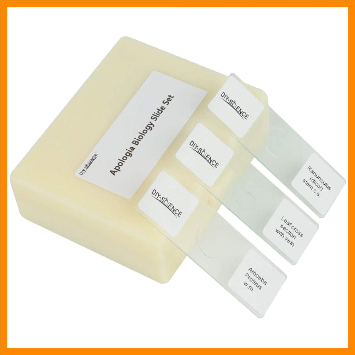 Prepared Microscope Slides Set for Apologia Biology, Pack of 16pcs Specimens ...