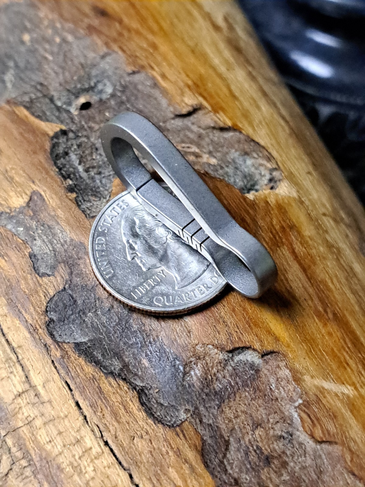 Pro Mini Series Titanium Carabiner