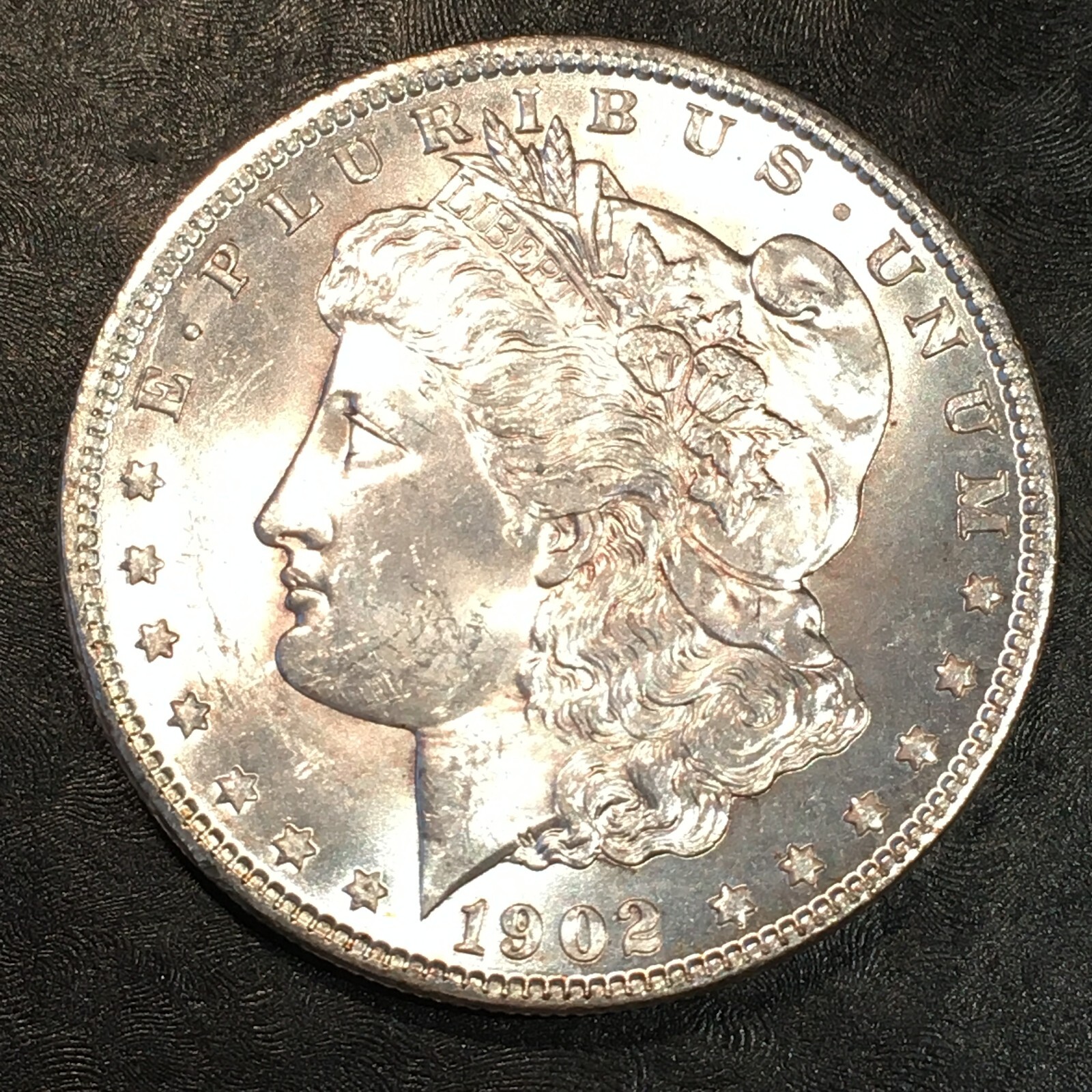1902-O Morgan Dollar - High Quality Scans #P013