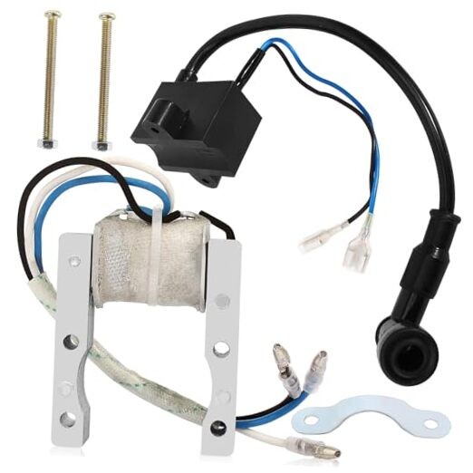 CDI Ignition Coil + Magneto Coil for 49cc 50cc 60cc 80cc 2-Stroke Engines