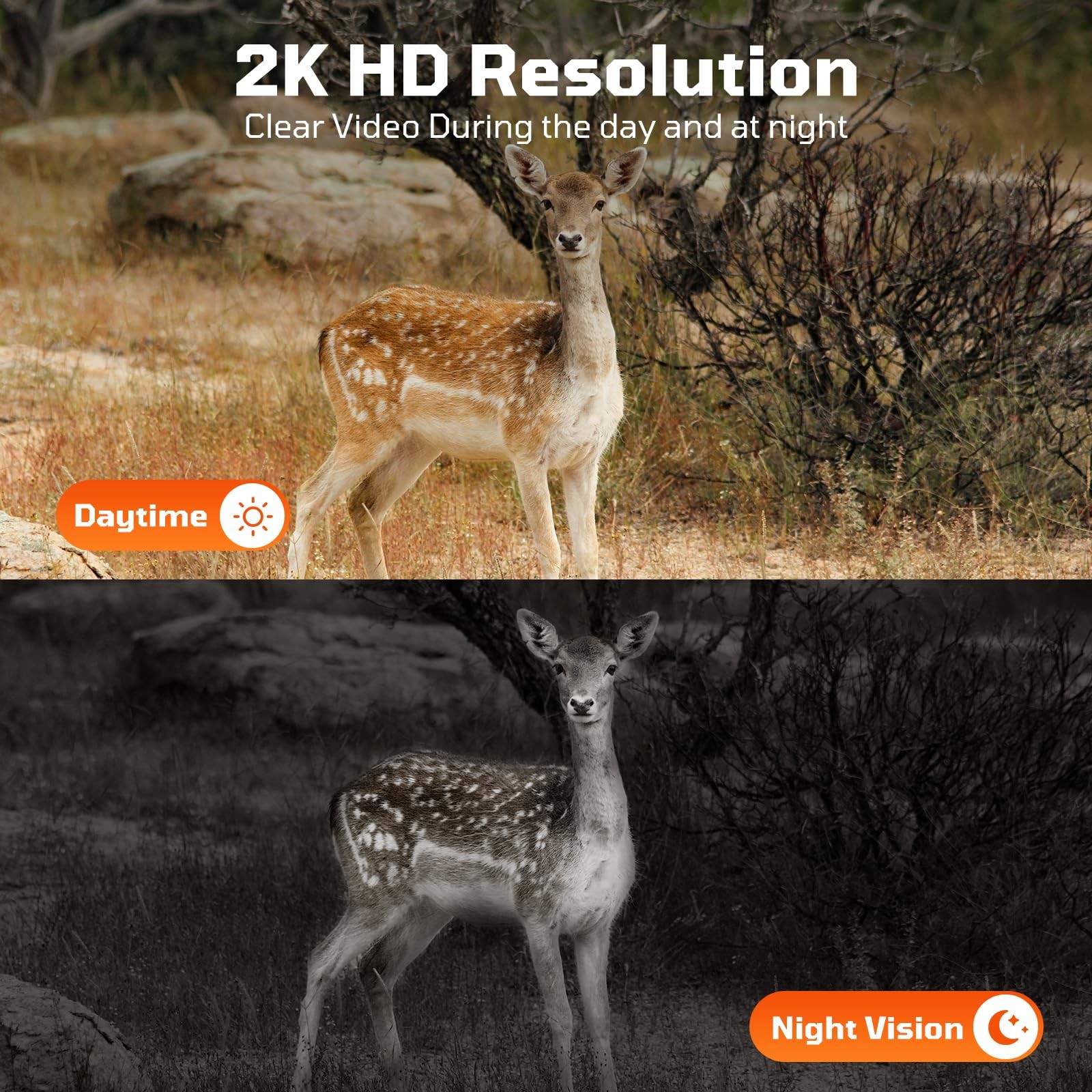 OUTDOOR EXPERT 4G LTE Cellular Trail Camera 180°Automatic Intrusion...