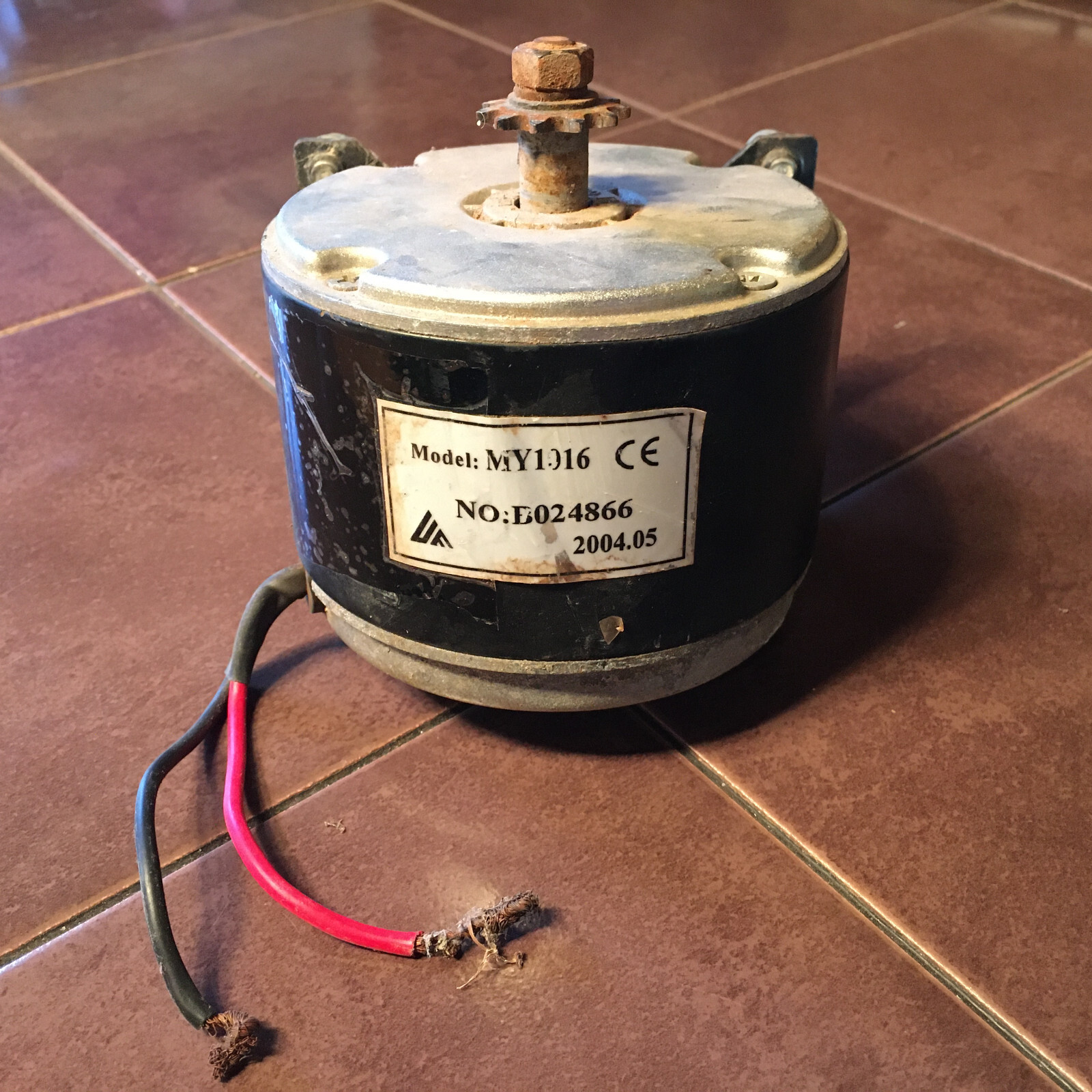 24 Volt 250 Watt MY1016 Electric Motor