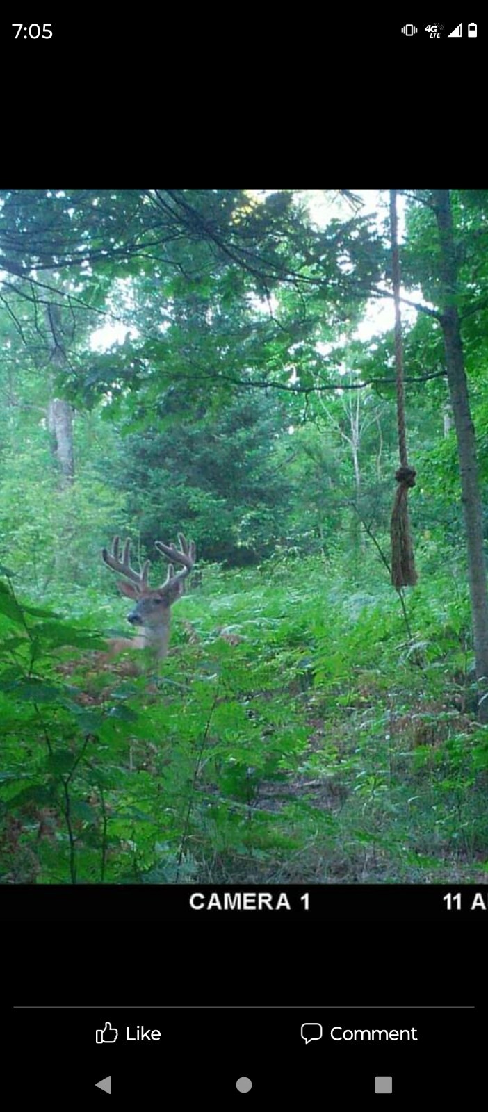 deer attractant Rope Kit! Free Shipping!