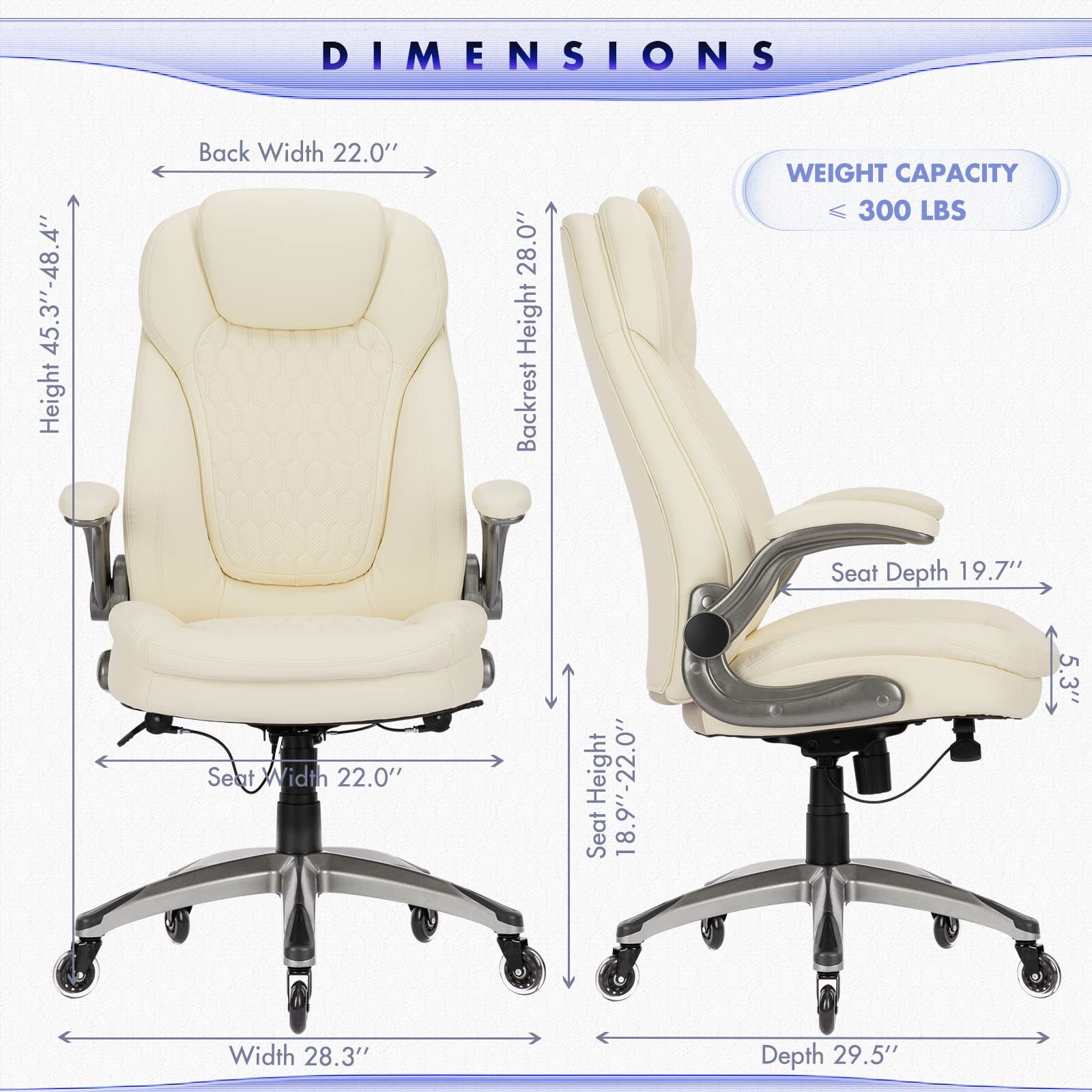 Executive Office Chair-Ergonomic Computer Desk Chair with Upgraded Caster for...