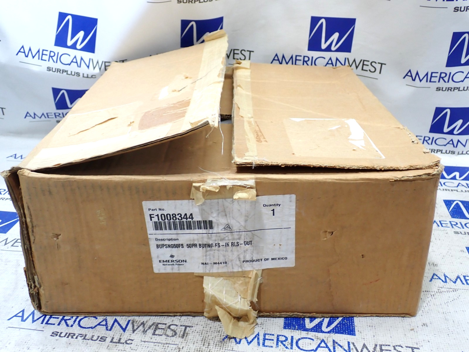 Emerson F1008344 BUPSNG50FS Indoor / Outdoor Building Entrance Protector - New