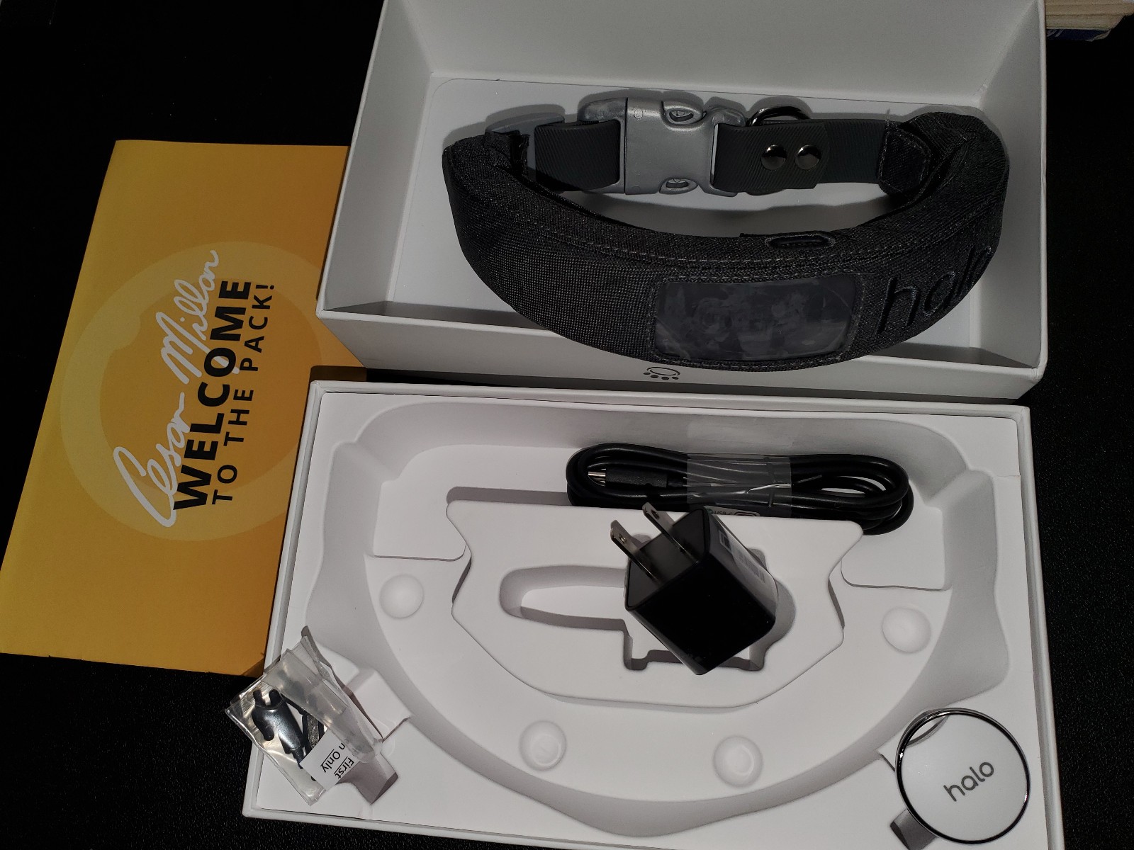 HALO 2+  DOG TRAINING COLLAR ~ CHARCOAL / DARK GRAY ~ MEDIUM / M ~   BRAND NEW
