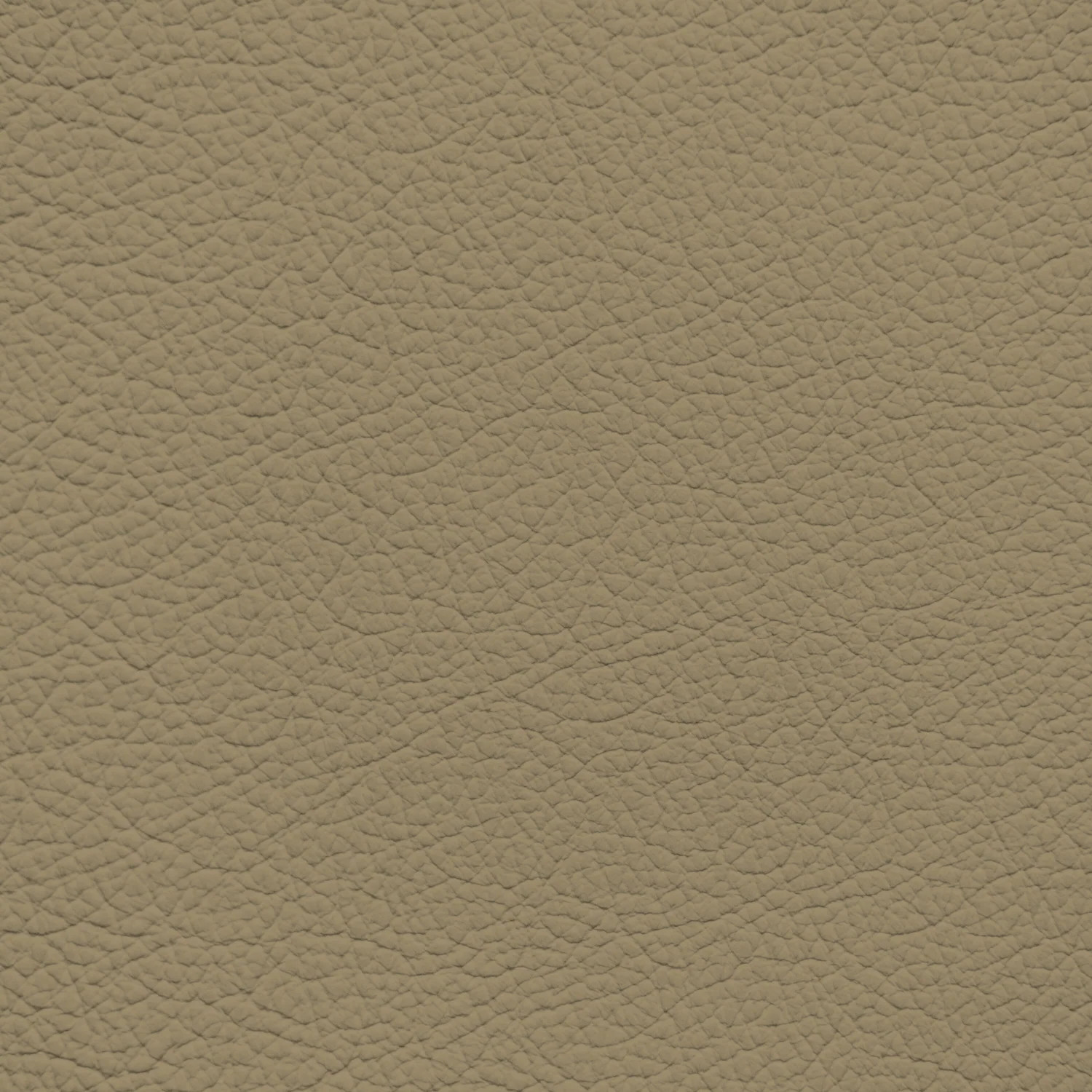 Audi Twist Beige Leather Dye