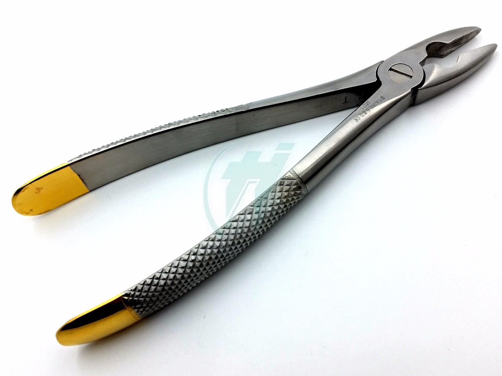 O.R GRADE DENTAL UPPER PREMOLARS WISDOM & ROOTS EXTRACTING FORCEPS #MD1