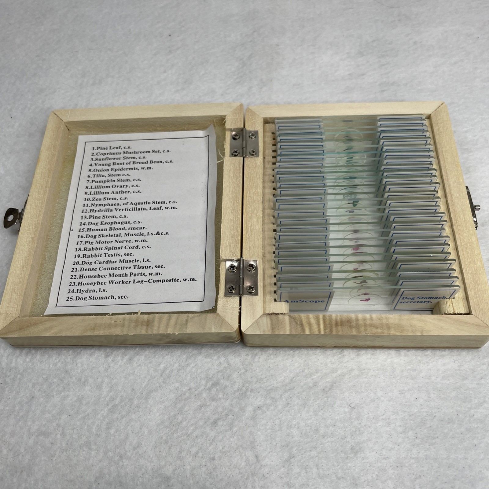 AmScope 25 Prepared Microscope Slides Glass with Wooden Box