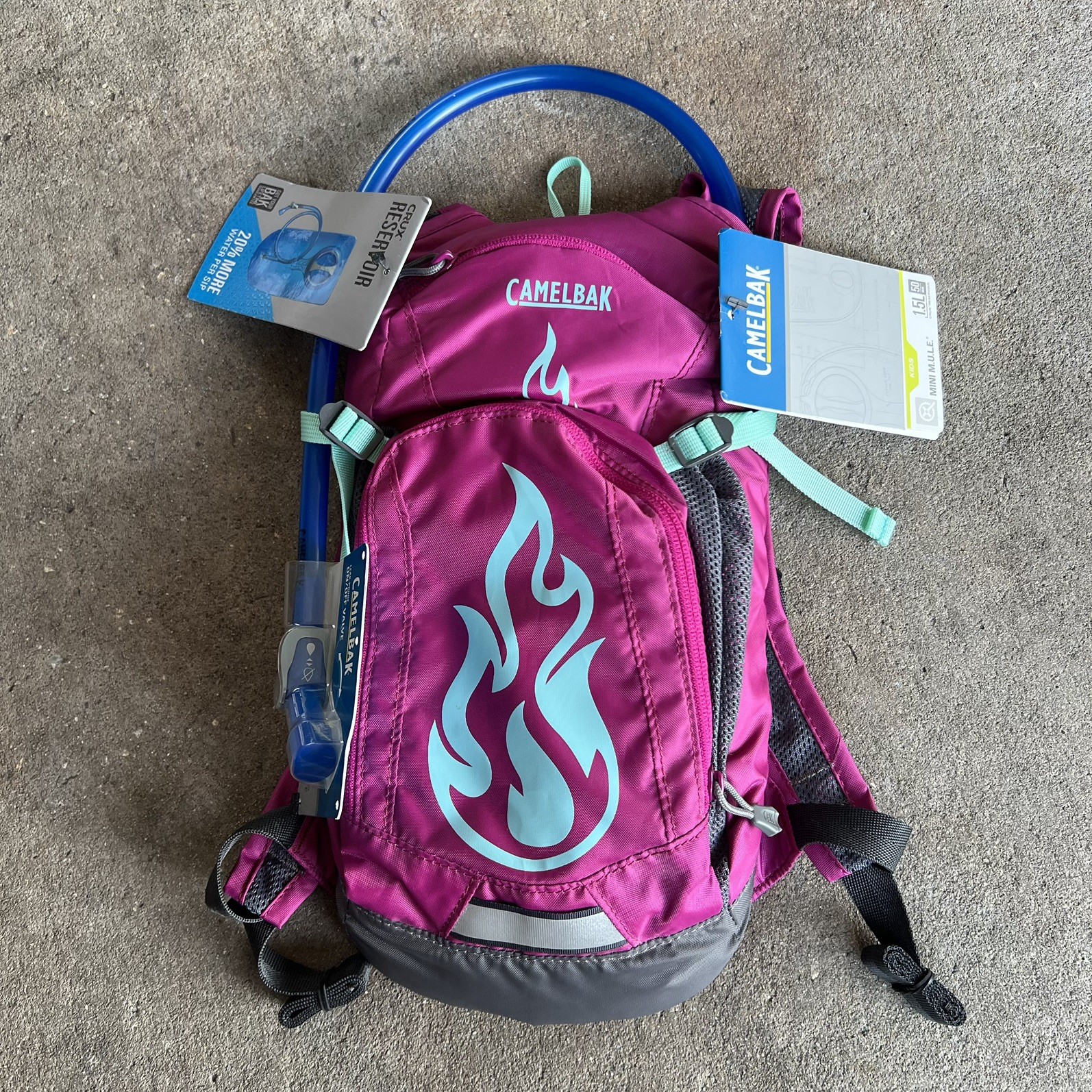 CamelBak Mini M.U.L.E. Kids Hydration Backpack, 50 oz, Purple #032