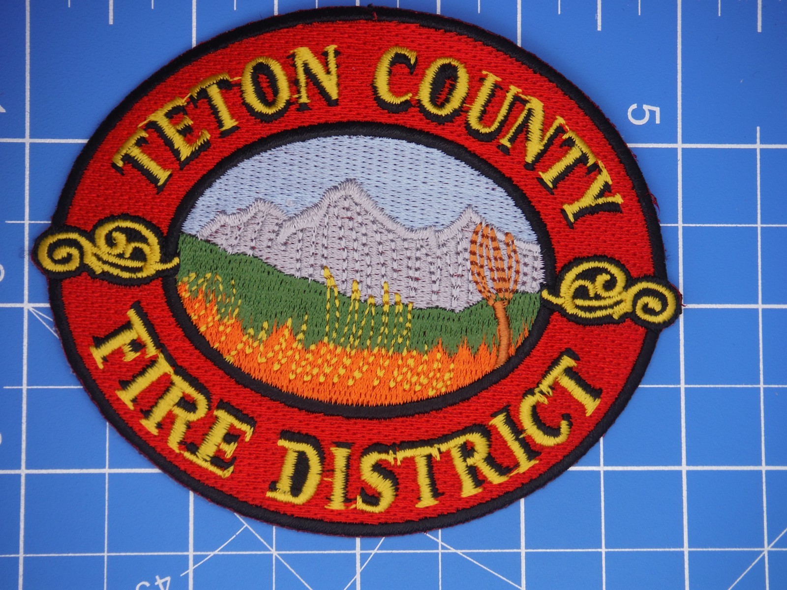 Teton County Idaho Fire District patch