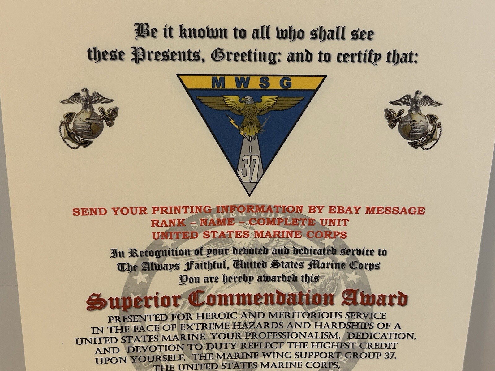 U.S.M.C. / MARINE WING SUPPORT GROUP 37 - SUPERIOR COMMENDATION AWARD