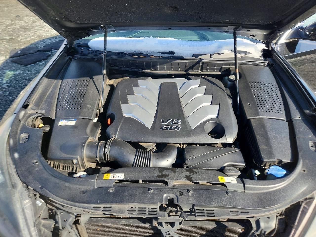 EQUUS 2015 Glove Box 5002216