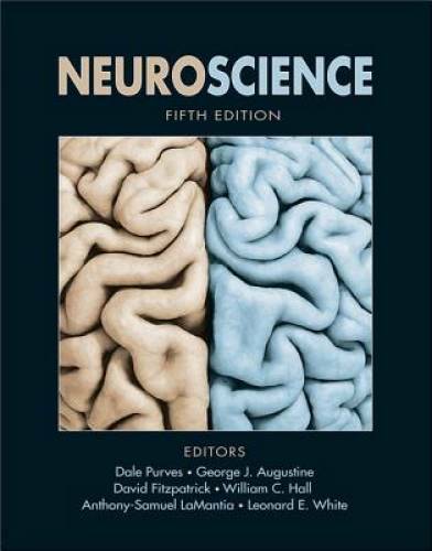 Neuroscience, Fifth Edition - Hardcover By Dale Purves - GOOD