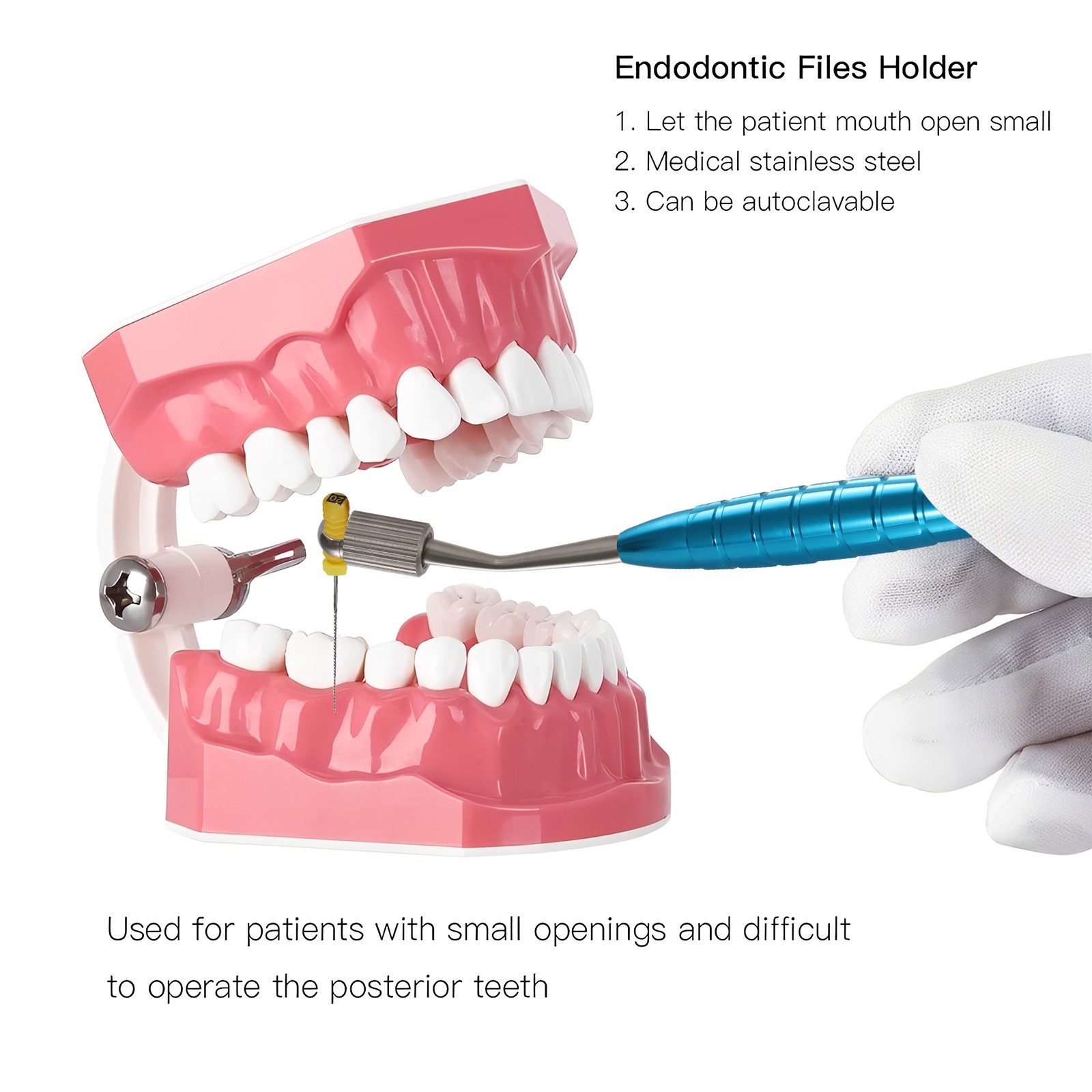 Dental Endodontic File Holder K-Files Handle Hand Use Root Canal Clip Teeth Endo