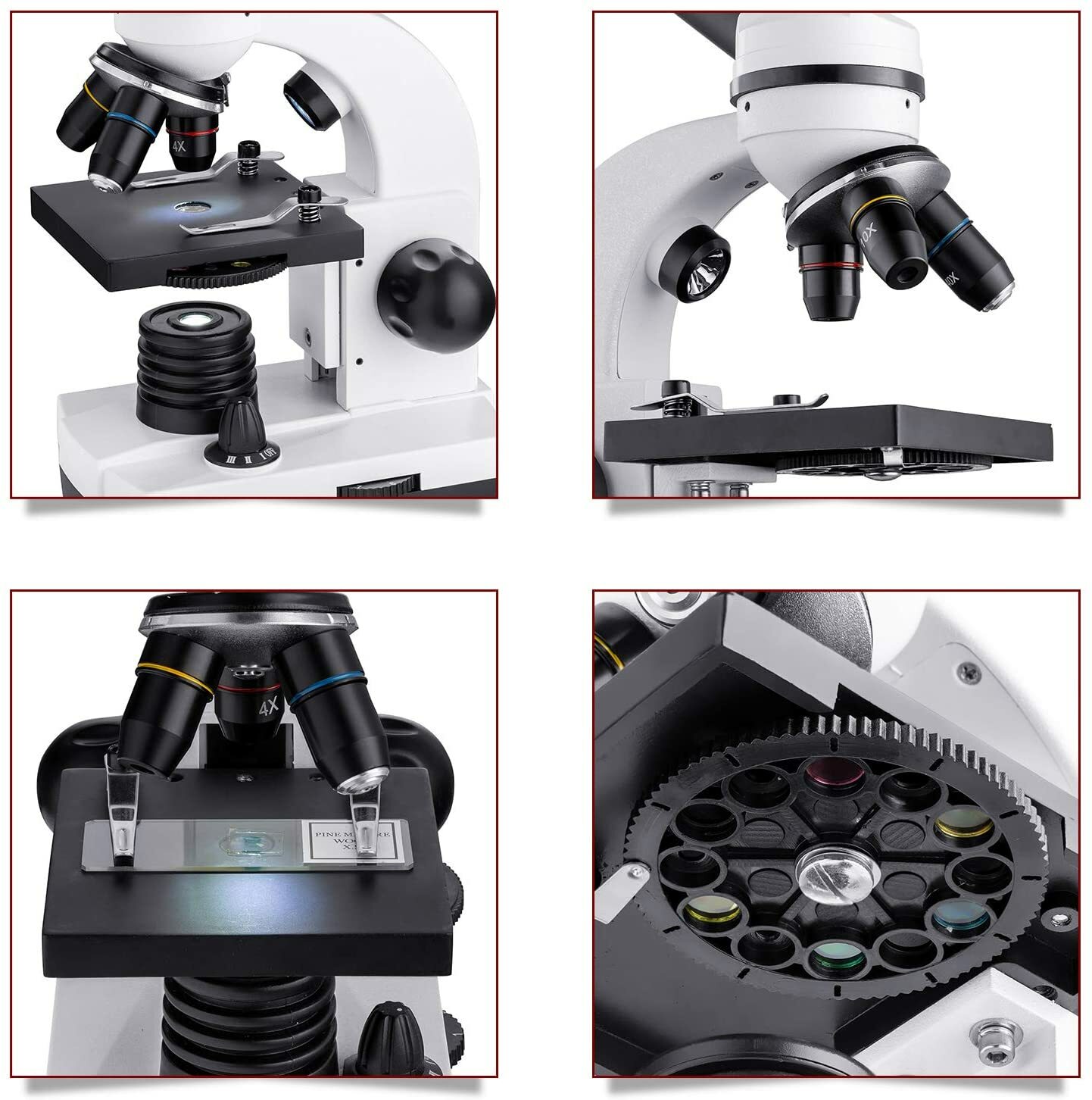 Bresser MicroSet 40x-1600x