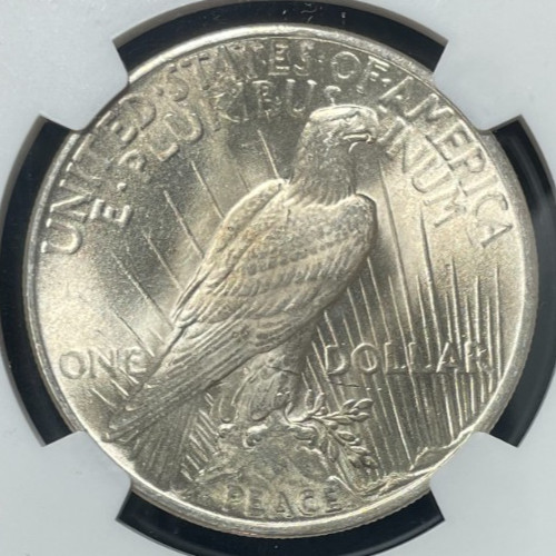 1925 PEACE SILVER DOLLAR~NGC MS 64 ~BEAUTIFUL COIN~ REF# 97-040