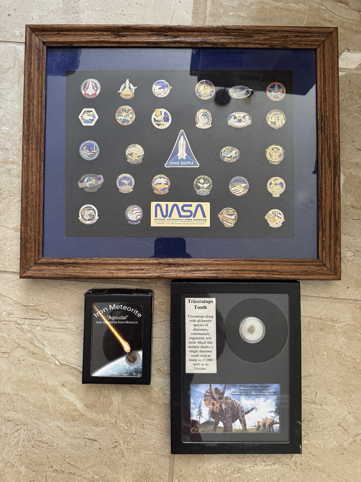 NASA Official Astronaut Crew Insignias And Triceratops Tooth