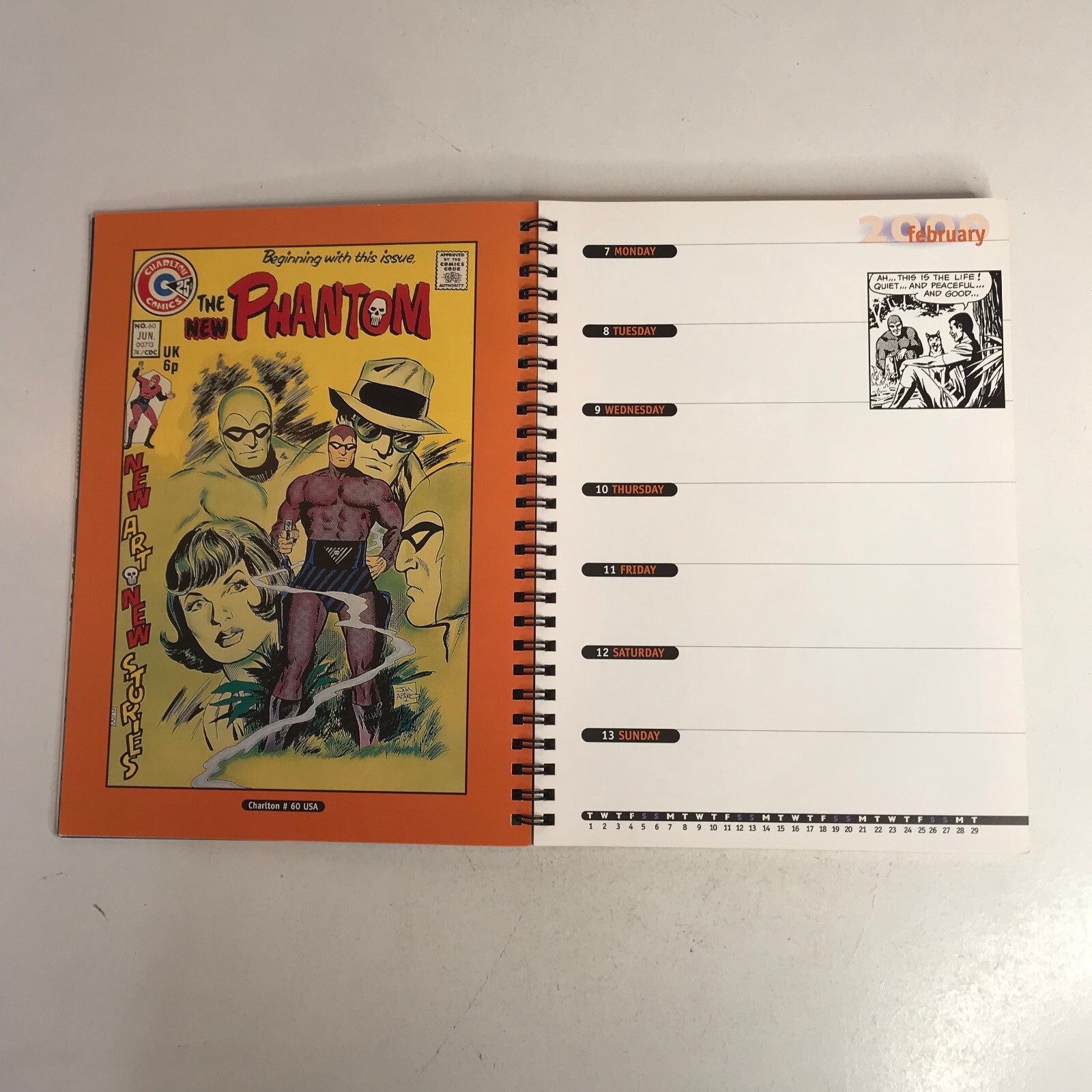 The Phantom 2000 Diary No.2