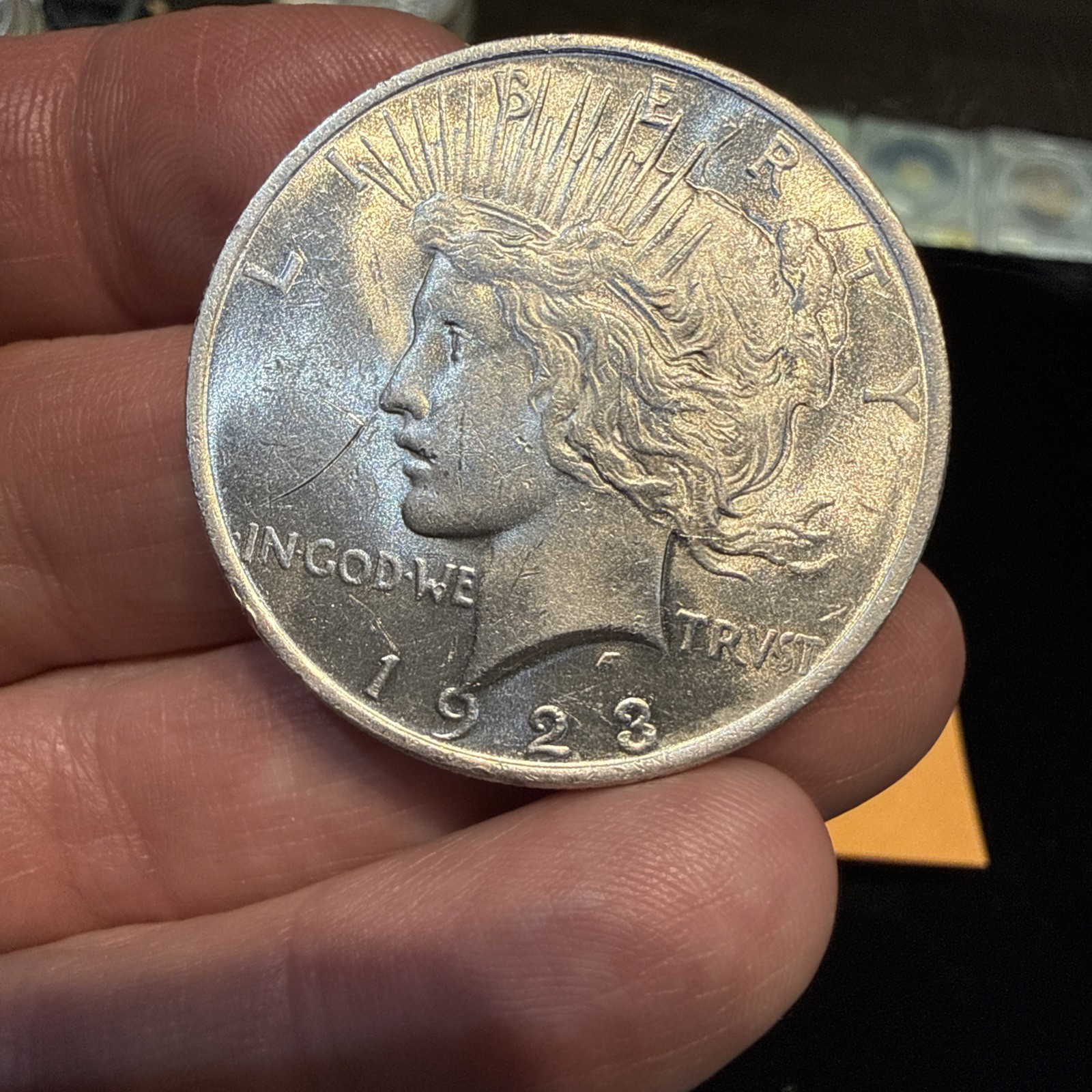 Lot Of 5 Peace Dollars