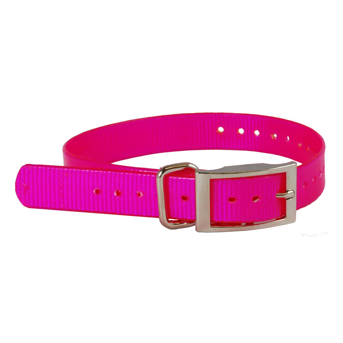 The Buzzard's Roost Replacement Collar Strap | Dark Blue 1" x 24"