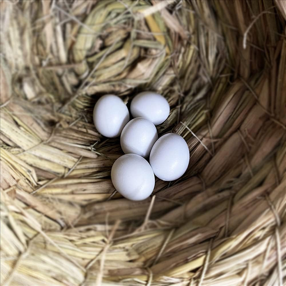8Pcs Solid Plastic Parrot Fake Eggs, Keeping Them from Laying Anymore Eggs, Suit