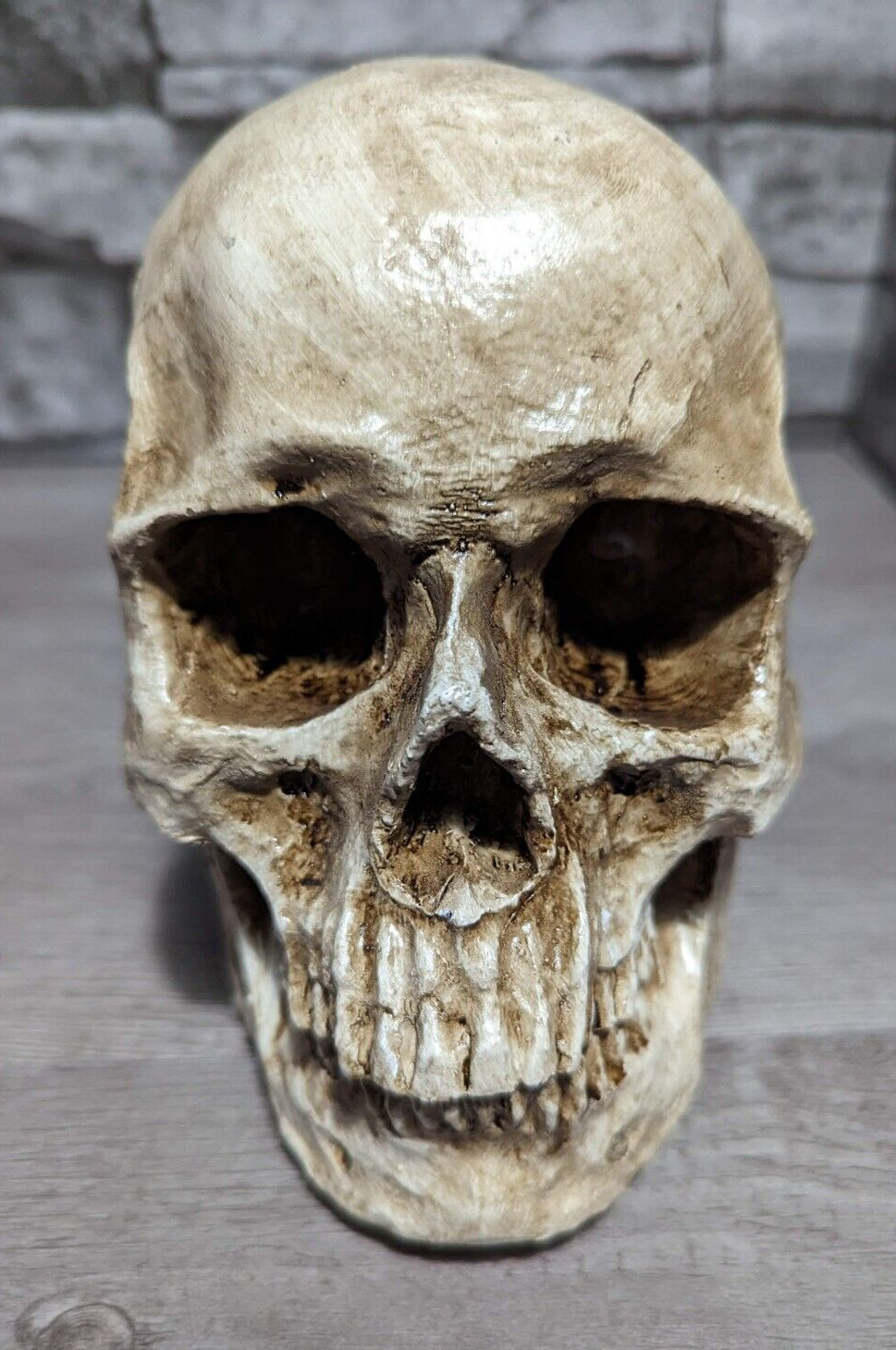 6" Creepy Resin Skull Death Corpse Halloween Decor Prop Skeleton Figurine