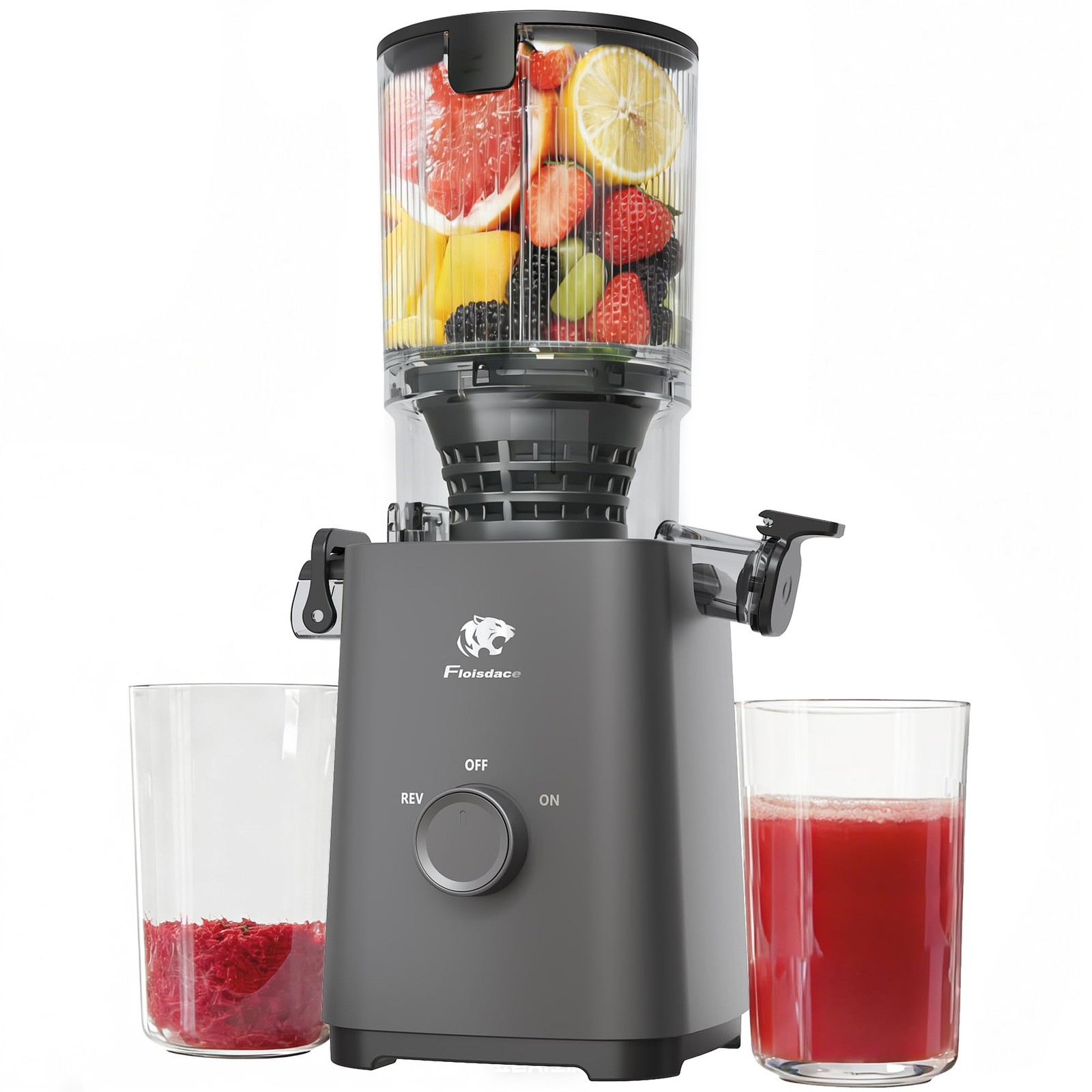 Cold Press Juicer Machines, 5.3" Large Feed Chute Slow Masticating Juicer, Po...