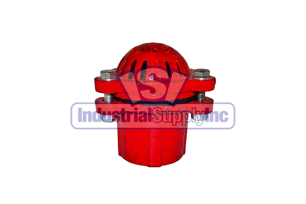 Foot Valve | 2" FPT | Cast Iron | Assembled | Red | Industrial Supply