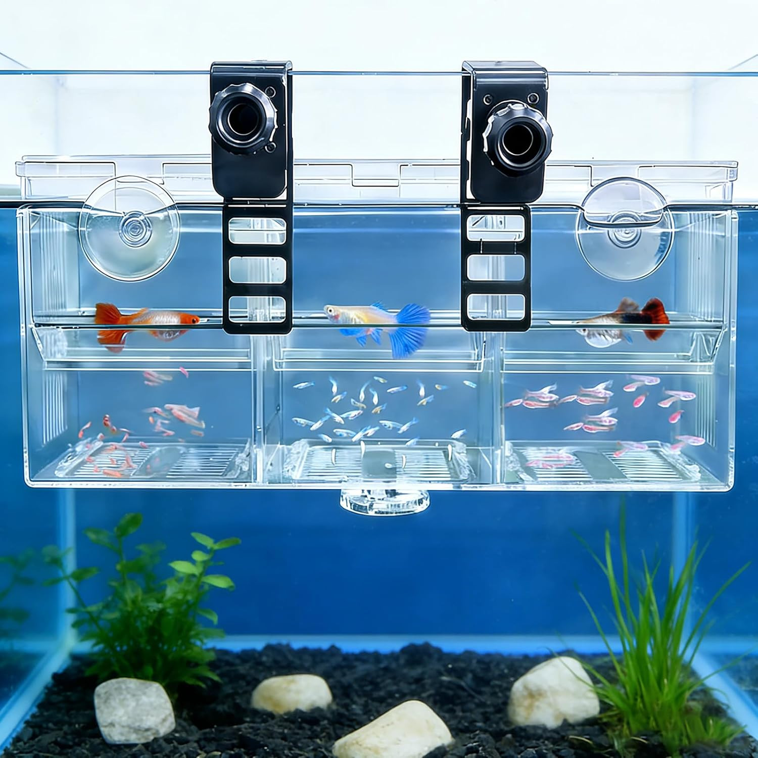 Fish Breeder Box for Aquarium,Breeder Box for Fish Tank with Suction Cups & Hook
