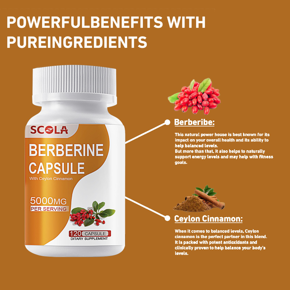 Berberine HCL Premium Extract Ceylon Cinnamon Antioxidant 5000mg 120 Capsules