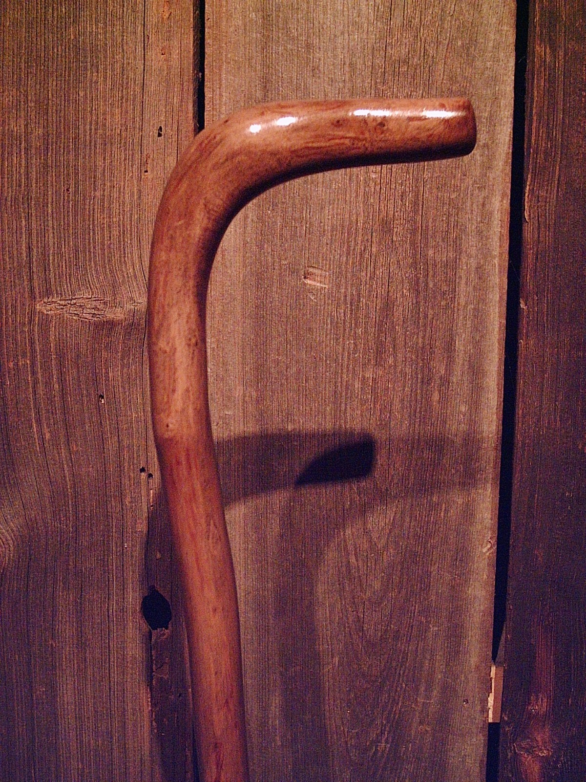 walking stick cane natural grown ROOT HANDLE for average size hands MADE IN USA