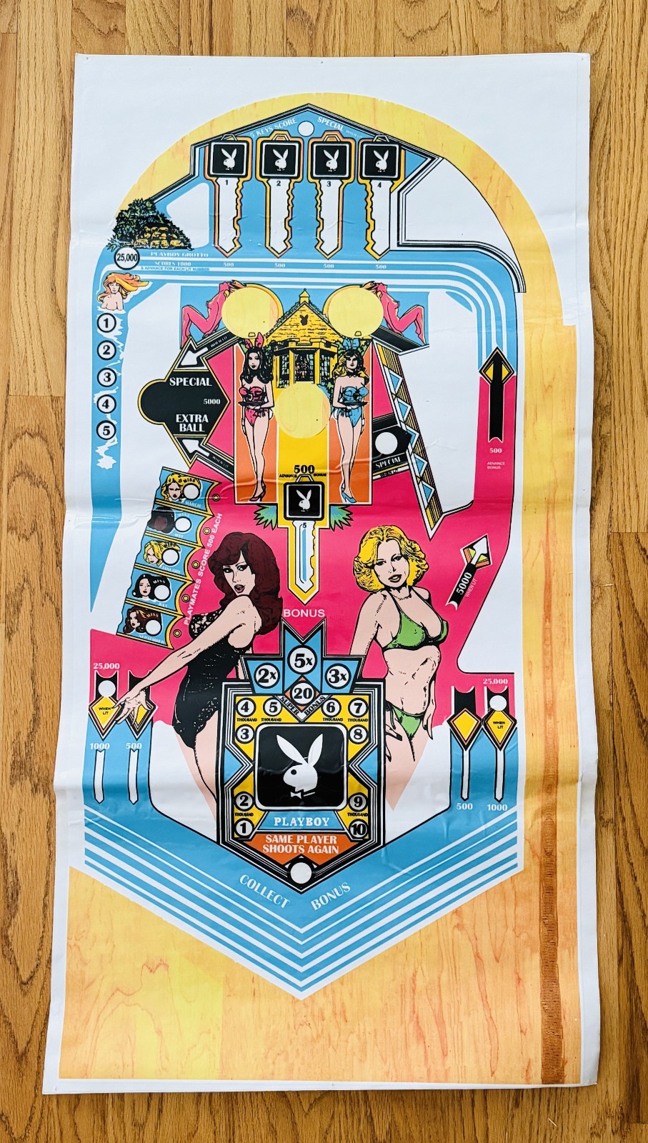 VTG 1978 BALLY PLAYBOY PINBALL MACHINE ORIGINAL PLASTIC OVERLAY Girls Mansion