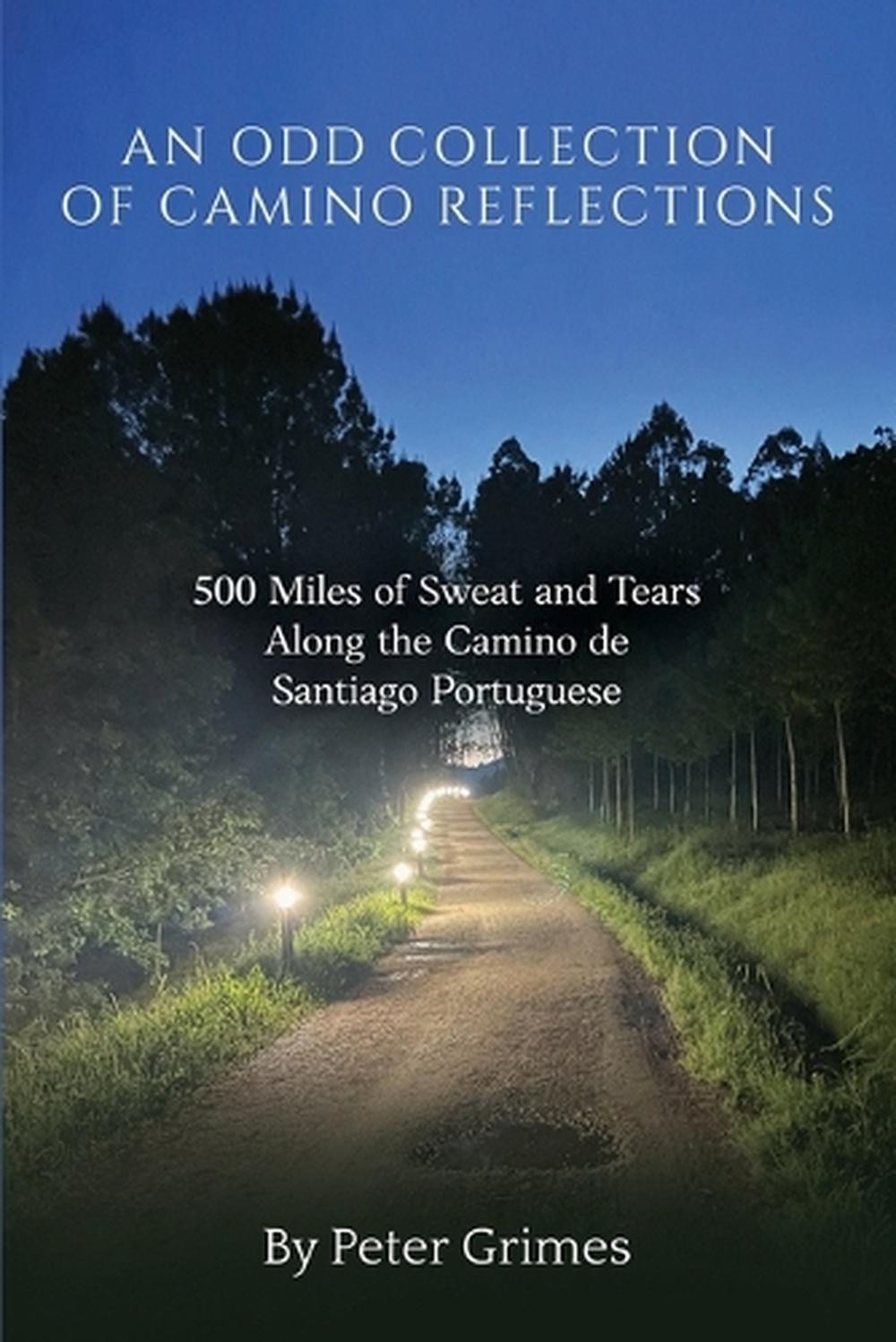 An Odd Collection of Camino Reflections: 500 Miles of Sweat and Tears Along the