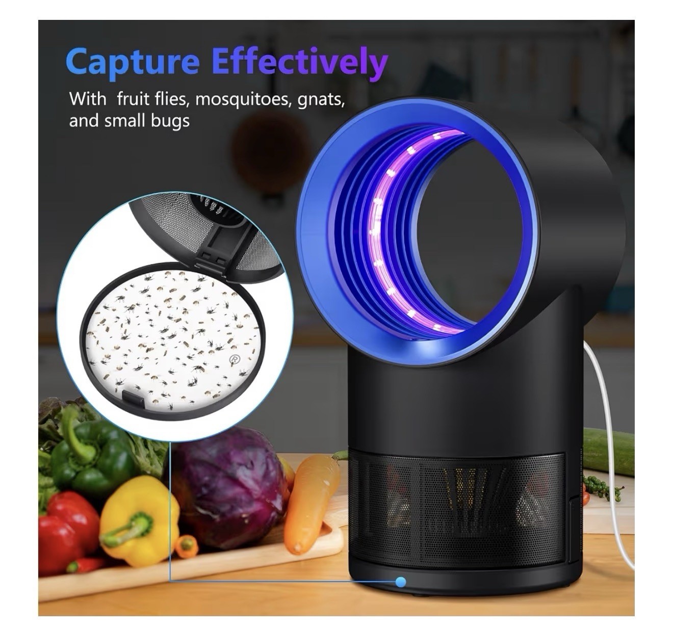 Fruit Fly Trap for Indoors Gnat Insect Trap with Timer 10 Refills Blue