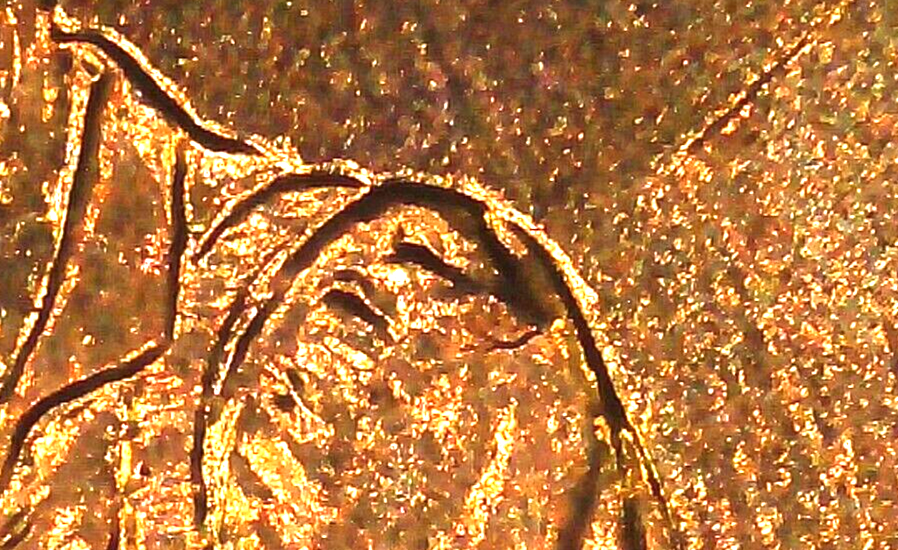 2009 P BU FY DOUBLED DIE REVERSE ERROR WDDR-037