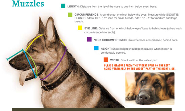 Dog Muzzle Size #D2 Fits Breeds Like Collie Setter