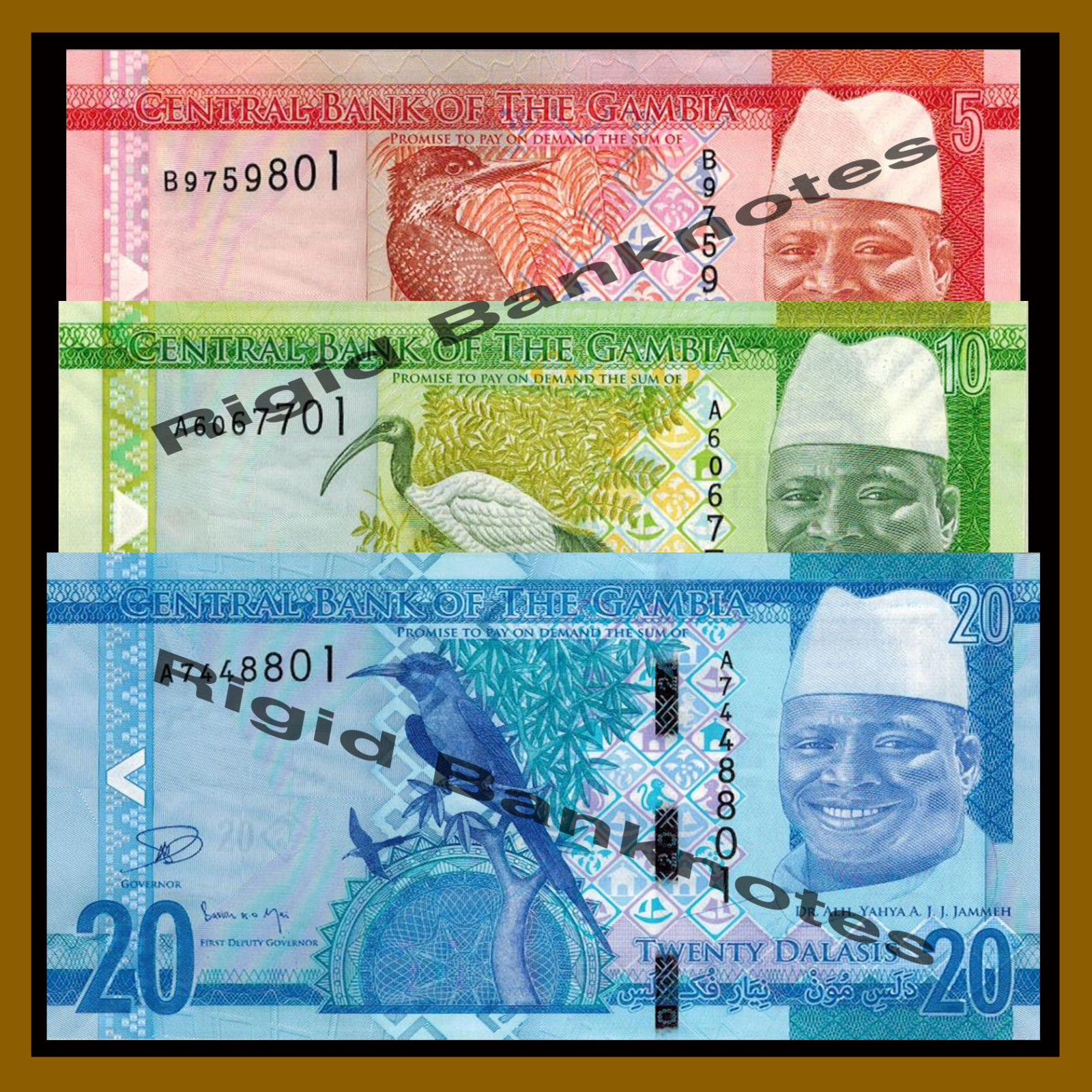 Gambia 5 10 20 Dalasis (3 Pcs Set), 2015  P-31/32/33, Redesigned Issue Unc