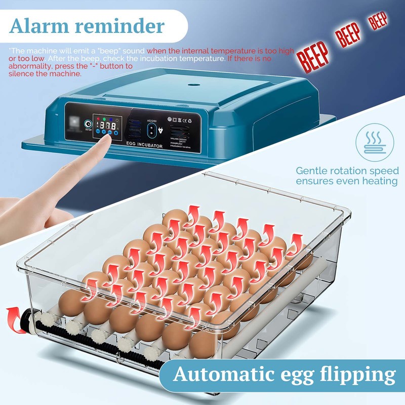 16,36 Eggs Incubator for Hatching Eggs with Automatic Turner