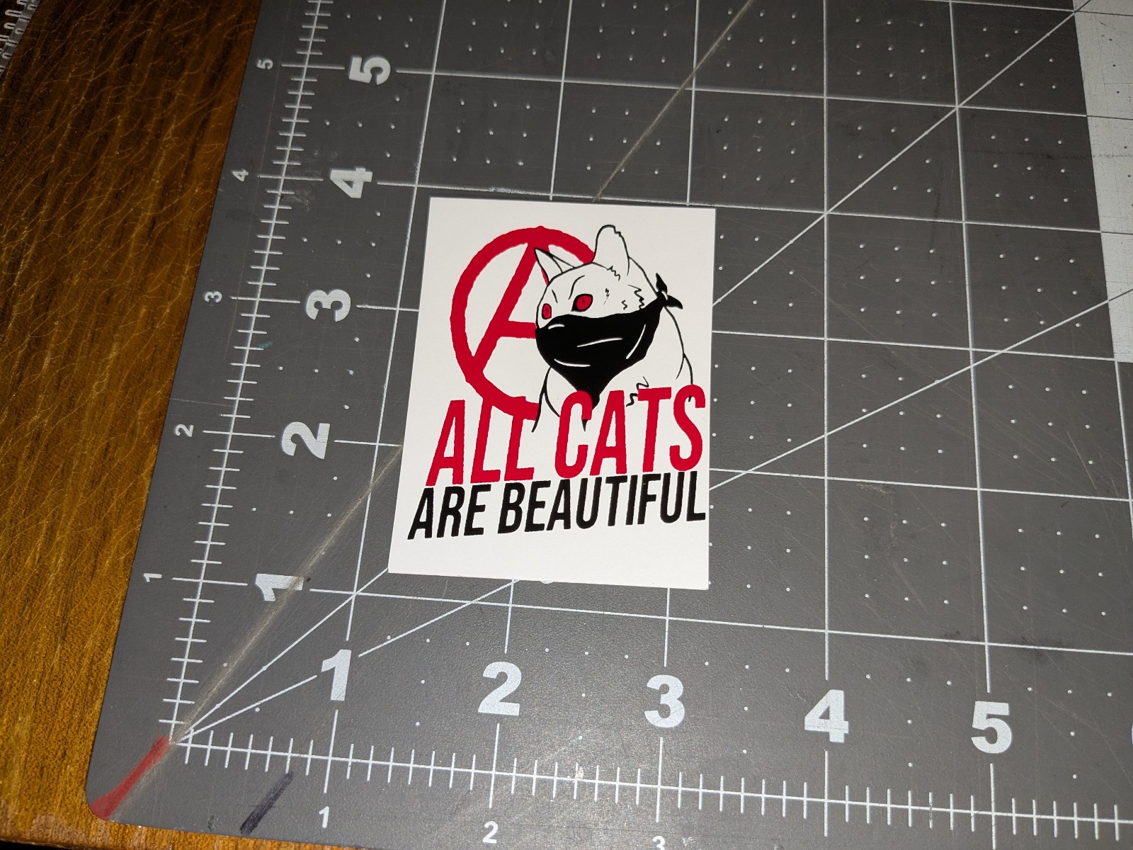vinyl decal stickers A.C.A.B. All cats are beautiful Anarchist art