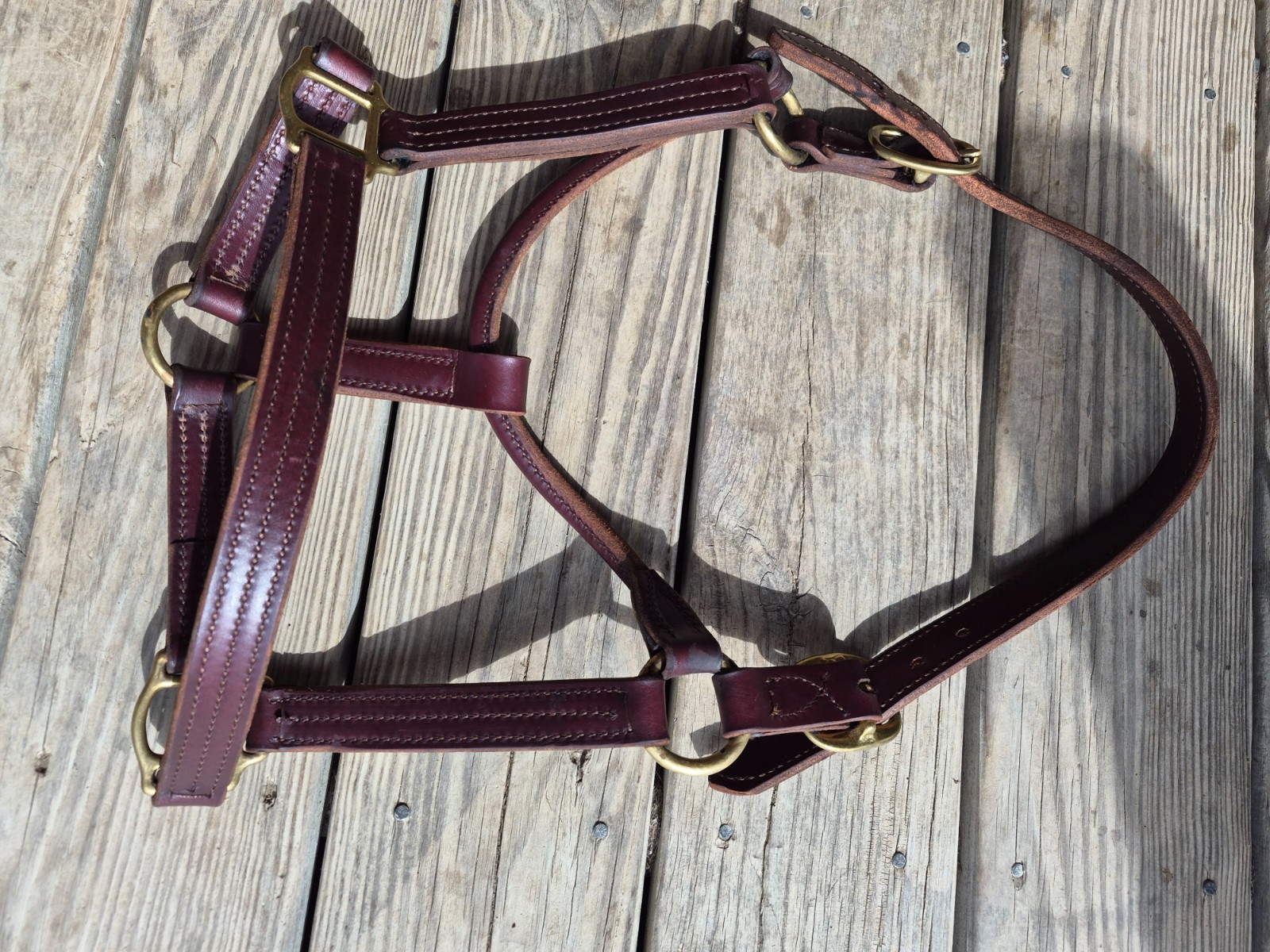 Track Halter Leather triple leather and triple stitched Avg horse