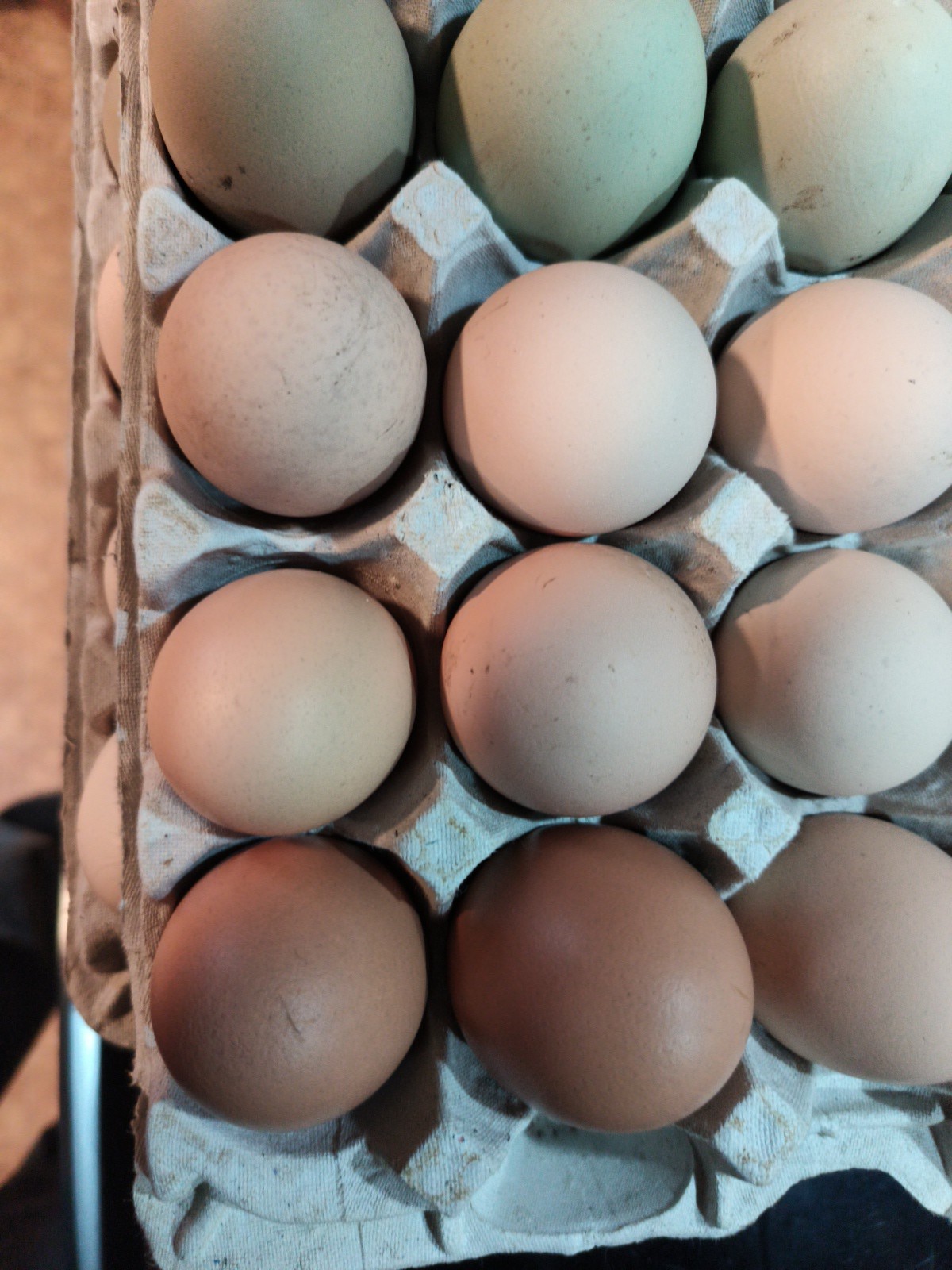 6+ Brown Hatching Eggs