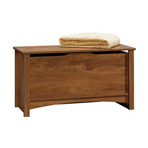 Shoal Creek Storage Chest, Toy Storage Chest for Living Room, Oiled Oak