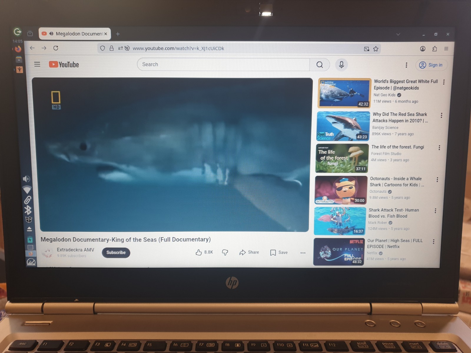 Linux MX V25.2, Xfce, 64-bit, Bootable Live and Install USB Flash Drive