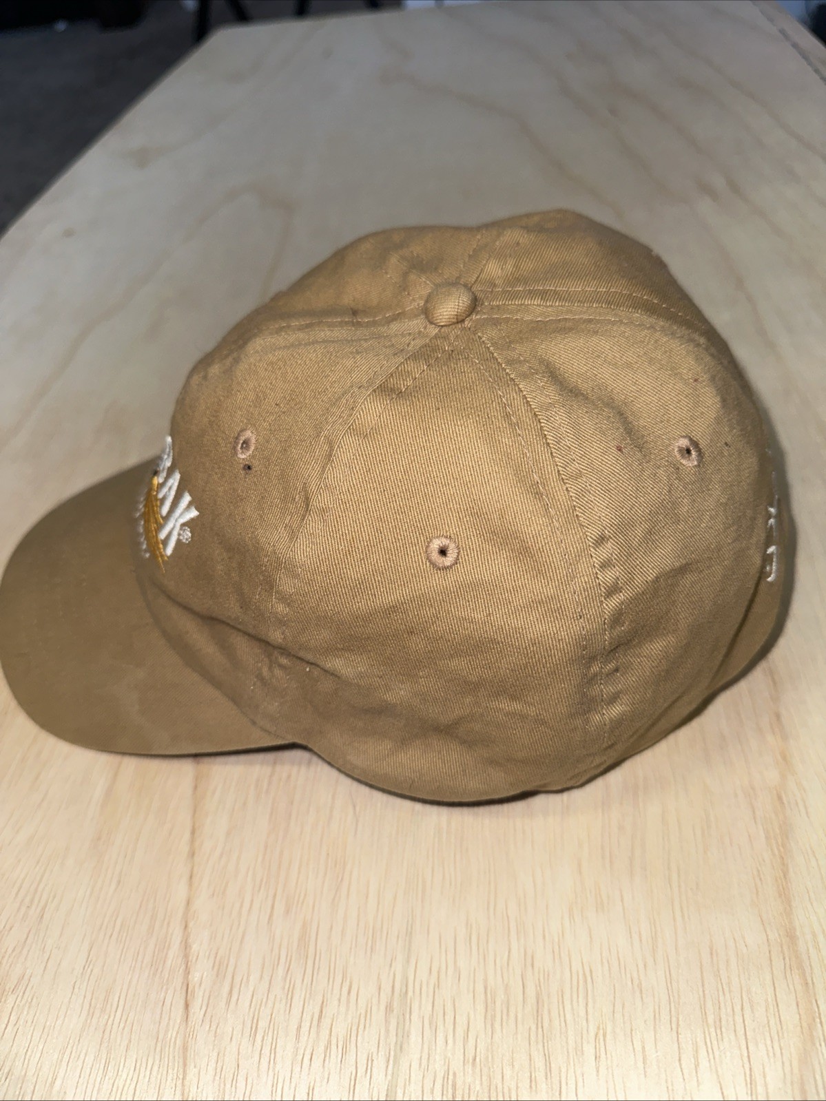 Camelbak Hydrate or Die Hat