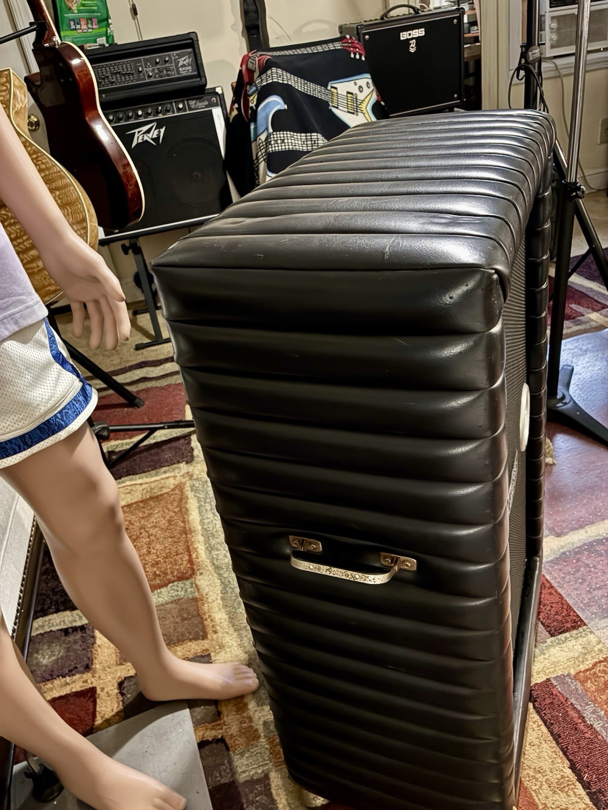 Vintage Bass Enclosed Kustom Cabinet Padded With 2 EV Speakers