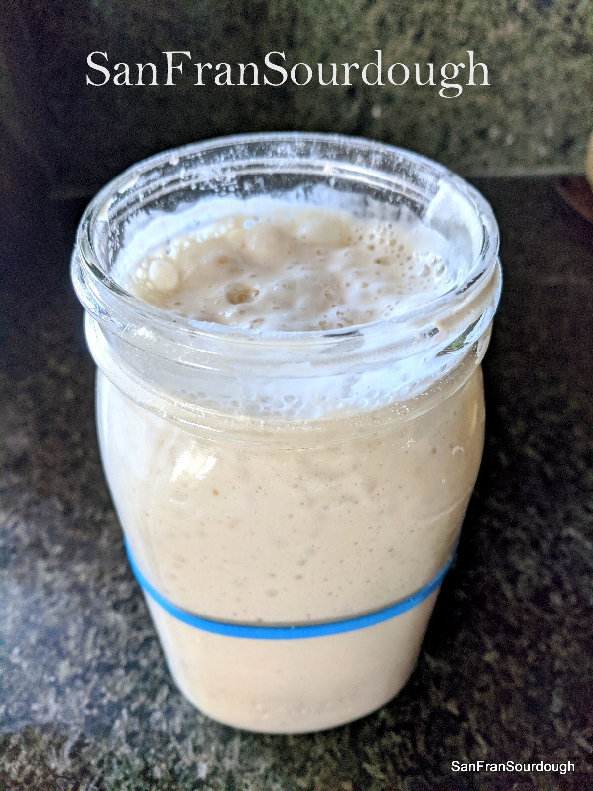 Active Dried Sourdough Starter San Francisco Yeast Bacteria baking bread