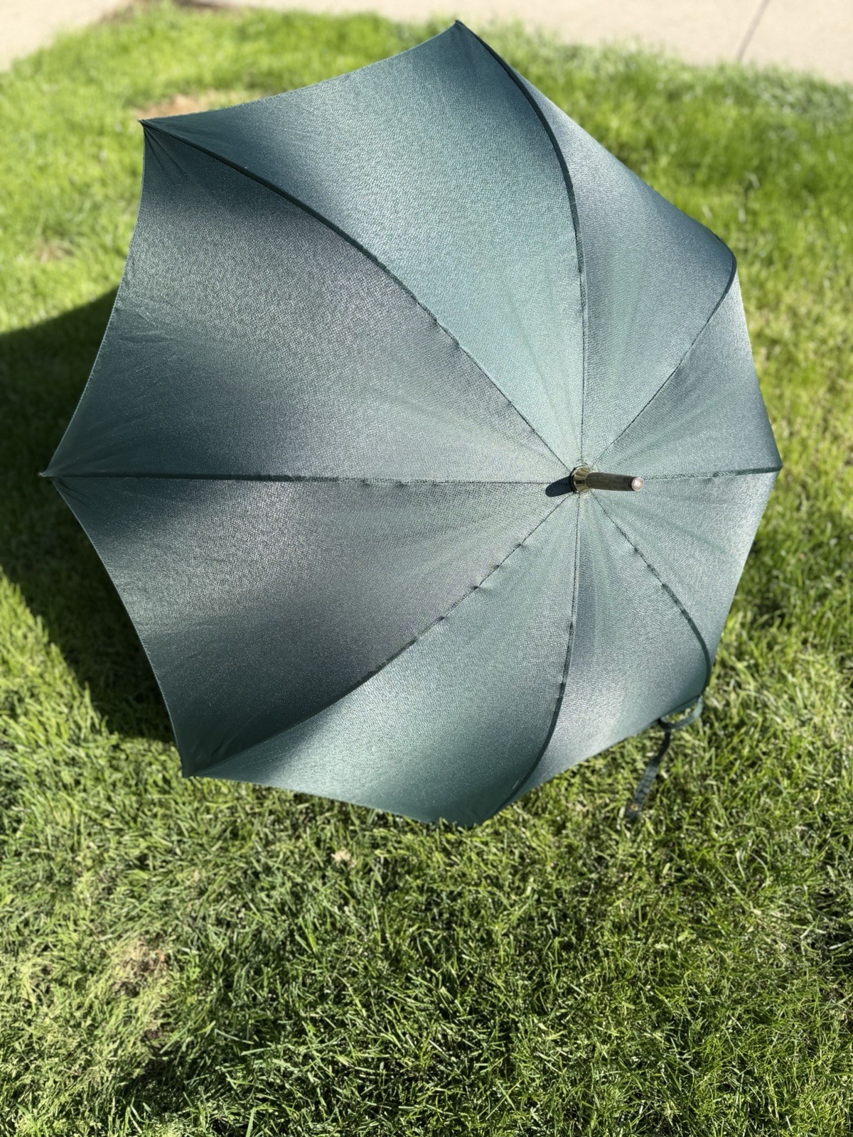 Louis Vuitton Green  Umbrella