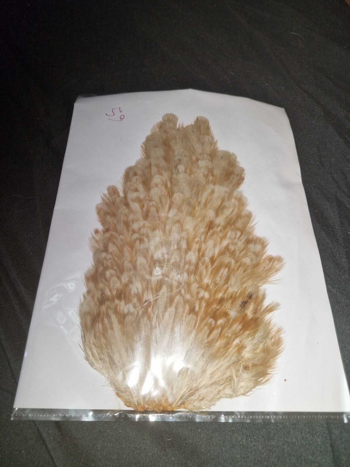 Large Saddle Hen Hackles Fly Tying Materials Feathers