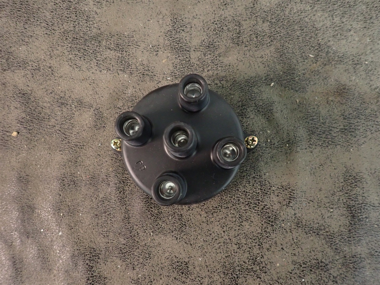 NEW WVE 5D1158 Distributor Cap (G216)